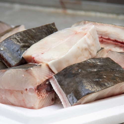 Fisch für Händler